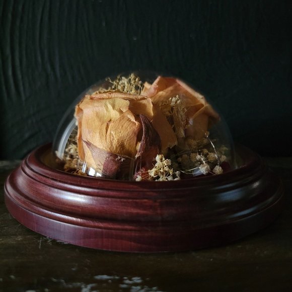 Mounted Freeze Dried Flowers, Framed Preserved Roses - Picture 5 of 6